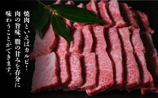 博多和牛 牛肉 焼き肉 バラ （カルビ） 500g ＜肉のくまもと屋＞那珂川市 焼肉 バラ カルビ 黒毛和牛 赤身 [GBI012]