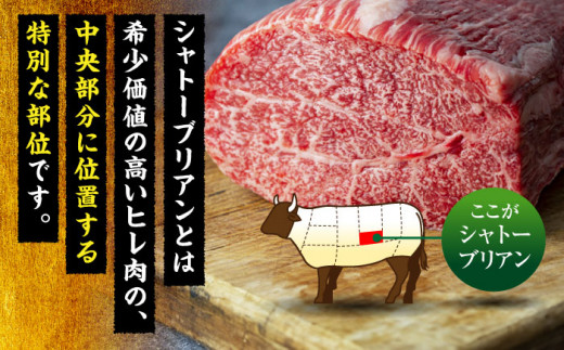 シャトーブリアン ステーキ 400g（200g×2）＜肉のくまもと屋＞那珂川市 シャトーブリアン 博多和牛 A4ランク 以上 ステーキ 赤身 厳選 ヒレ 和牛 牛肉 ステーキ 焼肉 シャトーブリアン 人気 赤身肉 和牛 バーベキュー 高評価 極上 高級 希少 博多和牛 福岡 九州 [GBI011]