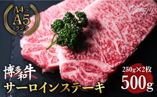 博多和牛 牛肉 サーロイン ステーキ 500g（250g×2）＜肉のくまもと屋＞ 那珂川市 ステーキ肉 黒毛和牛 赤身 [GBI002]