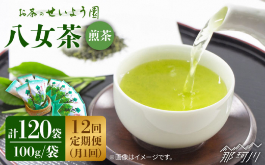 【全12回定期便】八女茶10袋（1kg）セット＜お茶の星陽園 ＞那珂川市 緑茶 お茶 八女茶 [GAD010]