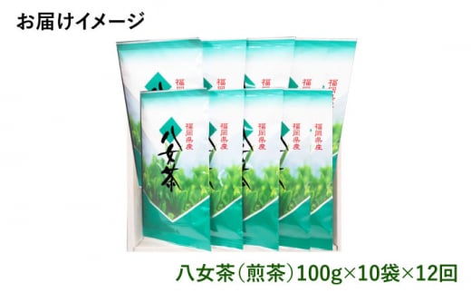 【全12回定期便】八女茶10袋（1kg）セット＜お茶の星陽園 ＞那珂川市 緑茶 お茶 八女茶 [GAD010]