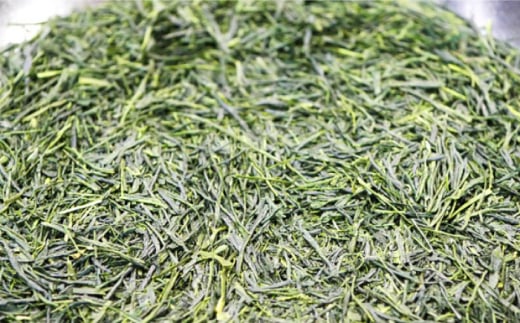 【全12回定期便】八女茶10袋（1kg）セット＜お茶の星陽園 ＞那珂川市 緑茶 お茶 八女茶 [GAD010]