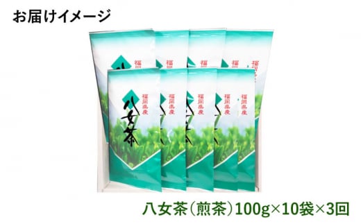 【全3回定期便】八女茶10袋（1kg）セット＜お茶の星陽園 ＞那珂川市 緑茶 お茶 八女茶 [GAD008]