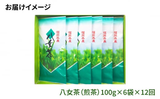 【全12回定期便】八女茶6袋（600g）セット＜お茶の星陽園 ＞那珂川市 緑茶 お茶 八女茶 [GAD007]