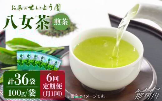 【全6回定期便】八女茶6袋（600g）セット＜お茶の星陽園 ＞那珂川市 緑茶 お茶 八女茶 [GAD006]