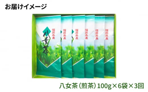 【全3回定期便】八女茶6袋（600g）セット＜お茶の星陽園 ＞那珂川市 緑茶 お茶 八女茶 [GAD005]