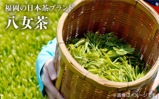 【全3回定期便】八女茶6袋（600g）セット＜お茶の星陽園 ＞那珂川市 緑茶 お茶 八女茶 [GAD005]