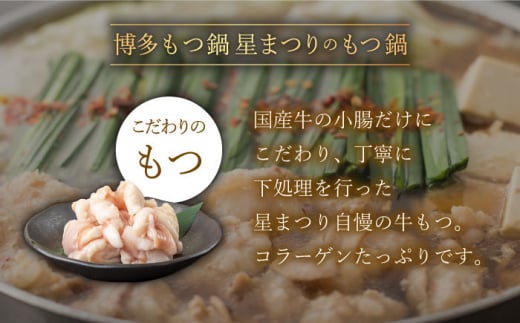【全6回定期便】ミシュラン掲載！国産牛 もつ鍋 醤油味 ギフトセット（4〜6人前）＜博多もつ鍋星まつり＞那珂川市 もつ鍋 もつなべ ホルモン もつ鍋セット 博多もつ鍋 モツ 醤油 冷凍 [GAA012]