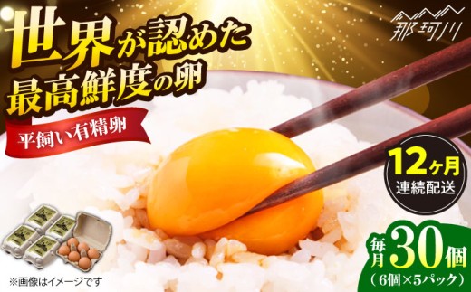 【全12回定期便】【TVで紹介！】 金太郎卵 平飼い 卵 30個（6個×5P）＜有限会社 フジノ香花園＞那珂川市 定期便 12ヶ月 有精卵 平飼い卵 たまご 新鮮 たまご 卵 玉子 タマゴ 鶏卵 オムレツ 卵かけご飯 朝食 料理 人気 卵焼き 平飼い 平飼 定期便 [GAM019]