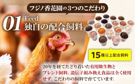 【全12回定期便】【TVで紹介！】 金太郎卵 平飼い 卵 30個（6個×5P）＜有限会社 フジノ香花園＞那珂川市 定期便 12ヶ月 有精卵 平飼い卵 たまご 新鮮 たまご 卵 玉子 タマゴ 鶏卵 オムレツ 卵かけご飯 朝食 料理 人気 卵焼き 平飼い 平飼 定期便 [GAM019]