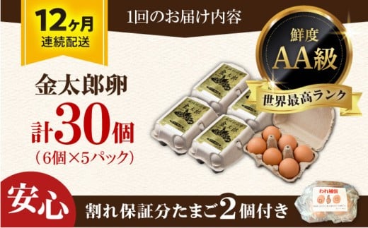 【全12回定期便】【TVで紹介！】 金太郎卵 平飼い 卵 30個（6個×5P）＜有限会社 フジノ香花園＞那珂川市 定期便 12ヶ月 有精卵 平飼い卵 たまご 新鮮 たまご 卵 玉子 タマゴ 鶏卵 オムレツ 卵かけご飯 朝食 料理 人気 卵焼き 平飼い 平飼 定期便 [GAM019]