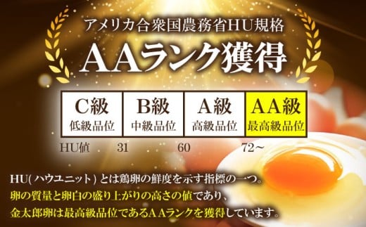 【全12回定期便】【TVで紹介！】 金太郎卵 平飼い 卵 30個（6個×5P）＜有限会社 フジノ香花園＞那珂川市 定期便 12ヶ月 有精卵 平飼い卵 たまご 新鮮 たまご 卵 玉子 タマゴ 鶏卵 オムレツ 卵かけご飯 朝食 料理 人気 卵焼き 平飼い 平飼 定期便 [GAM019]