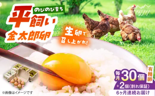 【全6回定期便】【TVで紹介！】鮮度ＡＡ級の世界最高ランク！金太郎卵 平飼い 卵 30個（6個×5パック）＜有限会社 フジノ香花園＞那珂川市 卵 金太郎卵 有精卵 平飼い 卵 平飼い卵 たまご [GAM018]