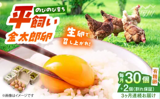 【全3回定期便】【TVで紹介！】鮮度ＡＡ級の世界最高ランク！金太郎卵 平飼い 卵 30個（6個×5パック）＜有限会社 フジノ香花園＞那珂川市 卵 金太郎卵 有精卵 平飼い 平飼い卵 卵 たまご [GAM017]