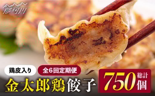 【全6回定期便】平飼いで育った元気な鶏！ 金太郎鶏 ぎょうざ（25個×5袋セット）＜有限会社 フジノ香花園＞那珂川市 鶏肉 鶏 餃子 ぎょうざ 中華 [GAM015]