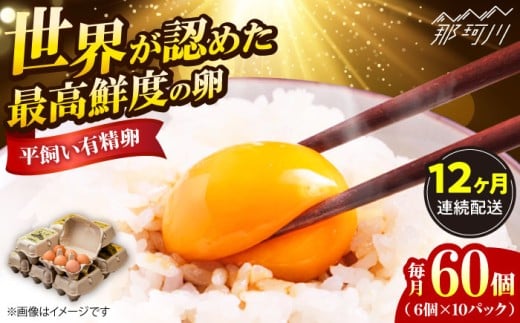 【全12回定期便】【TVで紹介！】鮮度ＡＡ級の世界最高ランク！金太郎卵 平飼い 卵 60個（6個入り?10パック）＜有限会社 フジノ香花園＞那珂川市 卵 金太郎卵 平飼い卵 平飼い 卵 たまご タマゴ 玉子焼き 卵焼き [GAM013]