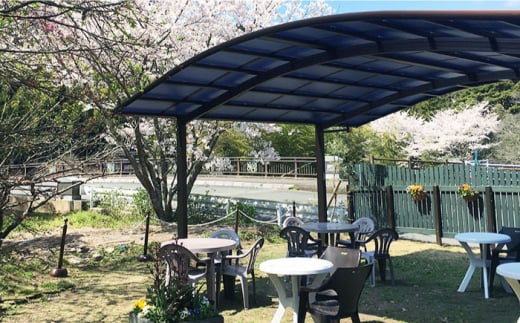 【全6回定期便】申込み後に自家焙煎！特選 ブレンド コーヒー 3種セット【豆】計600g ＜自家焙煎珈琲 猫屋カフェ＞那珂川市 コーヒー豆 珈琲 珈琲豆 ホットコーヒー 大容量 定期便 [GAG011]