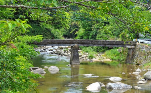 【全3回定期便】申込後に自家焙煎！特選 ブレンド コーヒー 3種セット【豆】計600g ＜自家焙煎珈琲 猫屋カフェ＞那珂川市 コーヒー豆 珈琲 珈琲豆 ホットコーヒー 大容量 定期便 [GAG010]