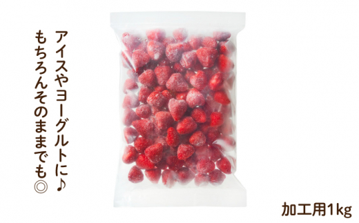 冷凍あまおう【凍っても濃厚！】冷凍 いちご 博多 あまおう 1kg＜やまや＞那珂川市 冷凍いちご 冷凍あまおう フルーツ 果物 イチゴ 苺 あまおう いちご [GAK019]
