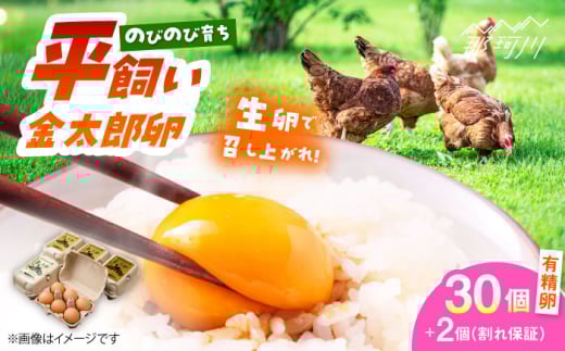 【鮮度ＡＡ級の世界最高ランク！】金太郎卵 平飼い 卵 30個（6個×5パック）＜有限会社フジノ香花園＞那珂川市 卵 金太郎卵 平飼い卵 平飼い 卵 たまご [GAM006]