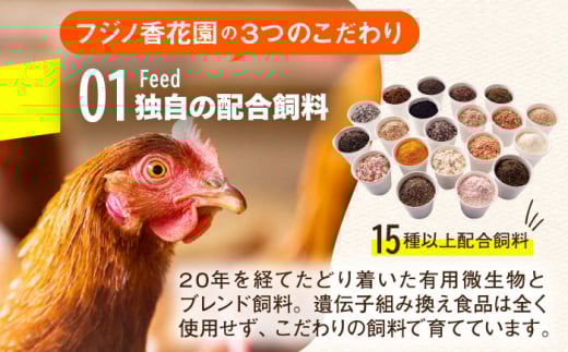 【鮮度ＡＡ級の世界最高ランク！】金太郎卵 平飼い 卵 30個（6個×5パック）＜有限会社フジノ香花園＞那珂川市 卵 金太郎卵 平飼い卵 平飼い 卵 たまご [GAM006]