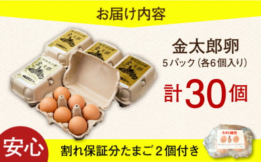 【鮮度ＡＡ級の世界最高ランク！】金太郎卵 平飼い 卵 30個（6個×5パック）＜有限会社フジノ香花園＞那珂川市 卵 金太郎卵 平飼い卵 平飼い 卵 たまご [GAM006]