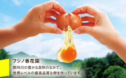 【鮮度ＡＡ級の世界最高ランク！】金太郎卵 平飼い 卵 30個（6個×5パック）＜有限会社フジノ香花園＞那珂川市 卵 金太郎卵 平飼い卵 平飼い 卵 たまご [GAM006]