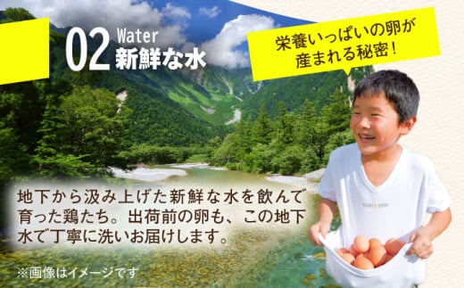【鮮度ＡＡ級の世界最高ランク！】金太郎卵 平飼い 卵 30個（6個×5パック）＜有限会社フジノ香花園＞那珂川市 卵 金太郎卵 平飼い卵 平飼い 卵 たまご [GAM006]
