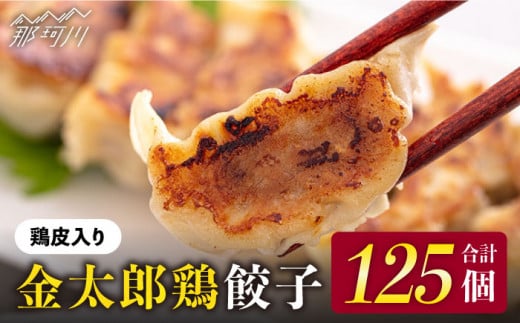 【平飼いで育った元気な鶏！】金太郎鶏 ぎょうざ（25個×5袋セット）＜有限会社 フジノ香花園＞那珂川市 鶏肉 鶏 餃子 ぎょうざ 中華 [GAM005]