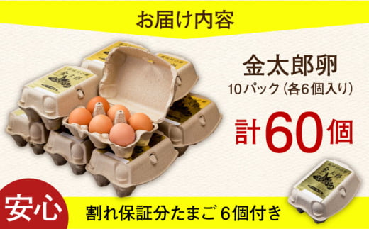 卵 平飼いたまご 金太郎卵 60個（6個?10P）＜有限会社 フジノ香花園＞那珂川市 卵 国産 鶏卵 玉子 タマゴ 卵 おすすめ 卵黄 人気 ランキング 九州 福岡 [GAM004]