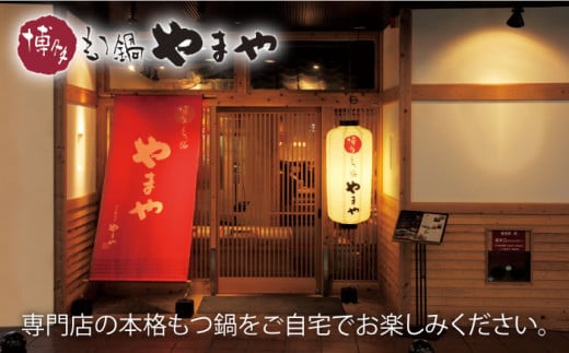 【名店の味をご家庭で】博多もつ鍋 あごだし醤油味 1~2人前＜やまや＞那珂川市 やまや もつ鍋 博多もつ鍋 鍋 [GAK009]