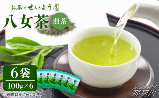 【豊かな香りにまろやかな旨味】八女茶 6袋 600gセット（100g×6袋）＜お茶の星陽園 ＞那珂川市 緑茶 お茶 八女茶 [GAD001]