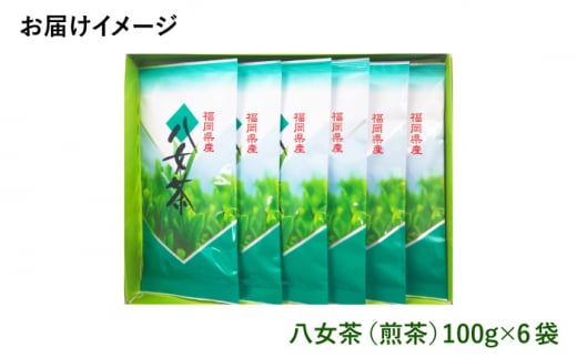 【豊かな香りにまろやかな旨味】八女茶 6袋 600gセット（100g×6袋）＜お茶の星陽園 ＞那珂川市 緑茶 お茶 八女茶 [GAD001]