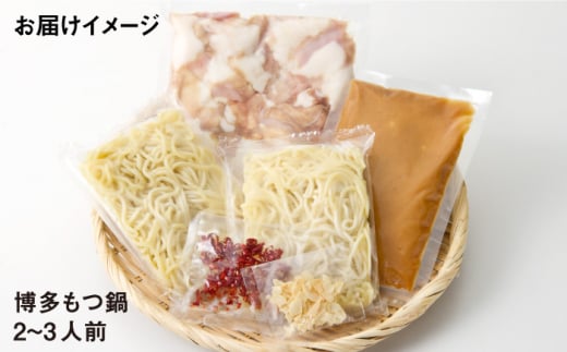 【厳選国産牛使用】博多もつ鍋 味噌味 2-3人前＜博多の味本舗＞那珂川市 もつ鍋 博多もつ鍋 鍋 [GAE021]