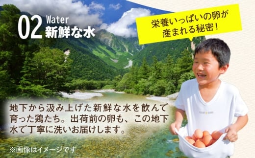 【究極の卵かけご飯セット】 平飼い 金太郎卵12個 藤の米2kg かけ醤油＜有限会社 フジノ香花園＞那珂川市 [GAM042]