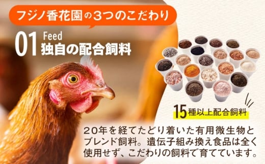 【究極の卵かけご飯セット】 平飼い 金太郎卵12個 藤の米2kg かけ醤油＜有限会社 フジノ香花園＞那珂川市 [GAM042]