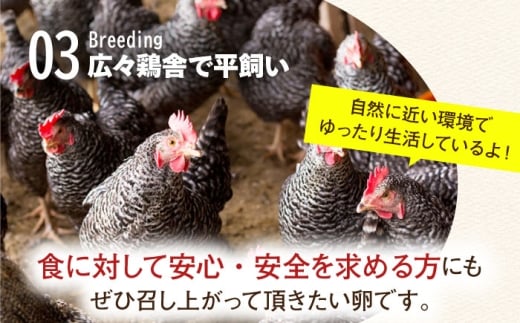 【究極の卵かけご飯セット】 平飼い 金太郎卵12個 藤の米2kg かけ醤油＜有限会社 フジノ香花園＞那珂川市 [GAM042]