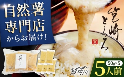 筥崎とろろ 自然薯のだしわりとろろ 計250g（5食セット × 50g) 冷凍 個包装 無添加 ＜株式会社九千部＞ 那珂川市 [GAZ002]
