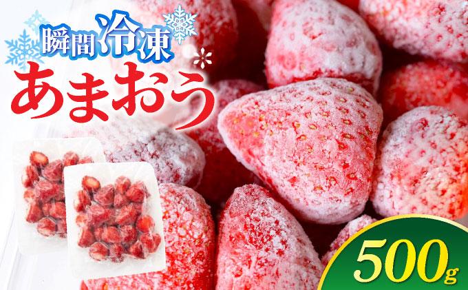福岡県産 冷凍あまおう500g(250g×2個)