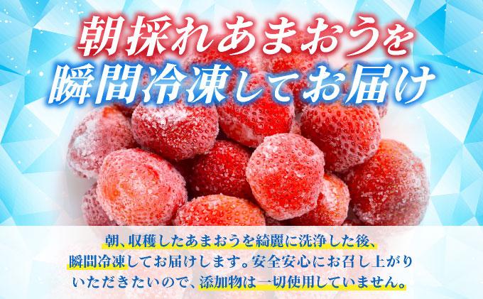 福岡県産 冷凍あまおう500g(250g×2個)