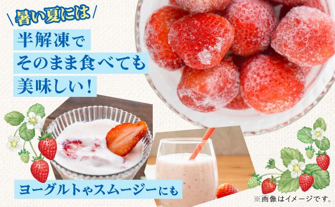 福岡県産 冷凍あまおう500g(250g×2個)