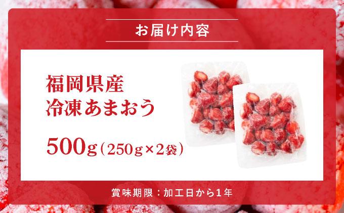 福岡県産 冷凍あまおう500g(250g×2個)