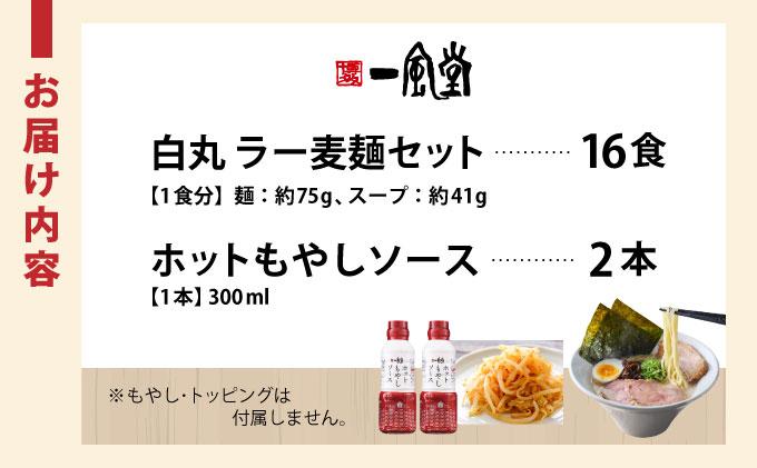 福岡県産 ラー麦使用 現地でたべたい！ 「一風堂」白丸 ラー麦麺セット（ホットもやしソース付き）16食（8食×2）|博多ラーメン 豚骨ラーメン とんこつラーメン 豚骨スープ 豚骨 麺 らーめん 福岡県 那珂川市