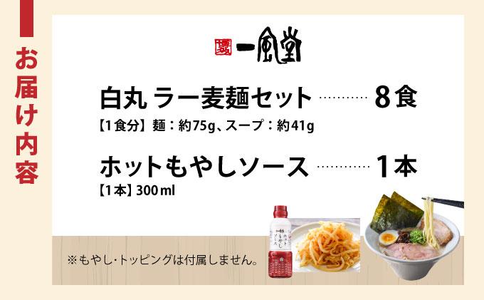 福岡県産 ラー麦使用 現地でたべたい！ 「一風堂」白丸 ラー麦麺セット（ホットもやしソース付き）8食|博多ラーメン 豚骨ラーメン とんこつラーメン 豚骨スープ 豚骨 麺 らーめん 福岡県 那珂川市