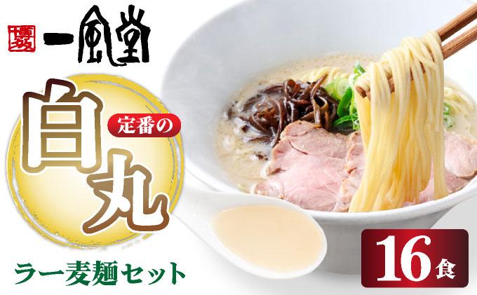 福岡県産 ラー麦使用 現地でたべたい！ 「一風堂」白丸 ラー麦麺セット 16食（8食入り×2セット）