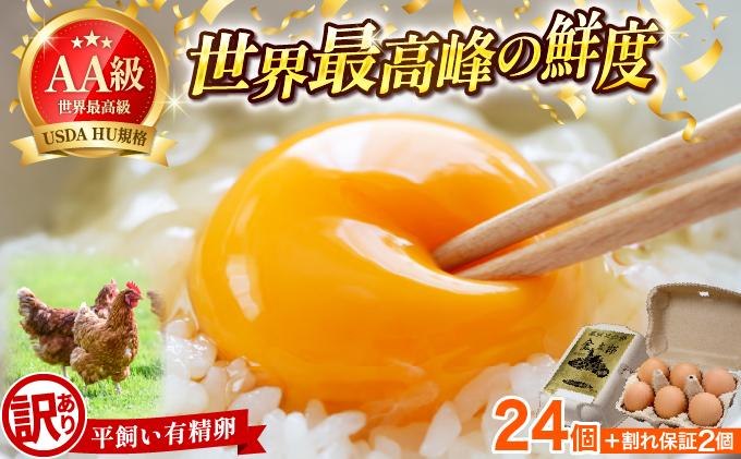 【訳あり】鮮度AA級の世界最高ランク 金太郎卵 平飼い たまご 24個（6個×4パック）|卵 玉子 鶏卵 地鶏 ブランド鶏 産地直送 新鮮 濃厚 卵かけご飯 わけあり ワケあり 冷蔵 送料無料 福岡県 那珂川市