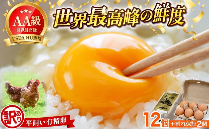 [訳あり]鮮度AA級の世界最高ランク 金太郎卵 平飼い たまご 12個(6個×2パック)