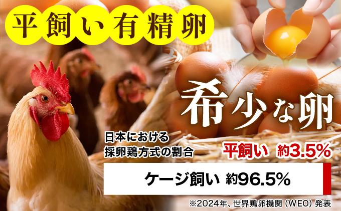 【訳あり】鮮度AA級の世界最高ランク 金太郎卵 平飼い たまご 12個（6個×2パック）|卵 玉子 鶏卵 産地直送 新鮮 濃厚 卵かけご飯 わけあり ワケあり 冷蔵 送料無料 福岡県 那珂川市