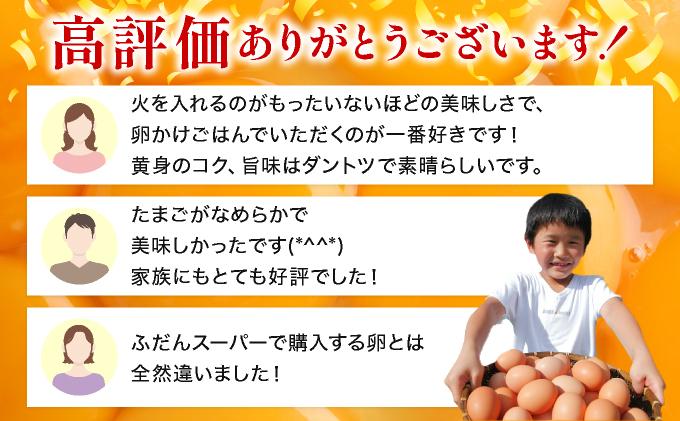 鮮度AA級の世界最高ランク！金太郎卵 平飼い たまご 24個（6個×4パック）