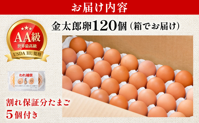 【TVで紹介】鮮度ＡＡ級の世界最高ランク！金太郎卵 平飼い たまご まとめ買い120個